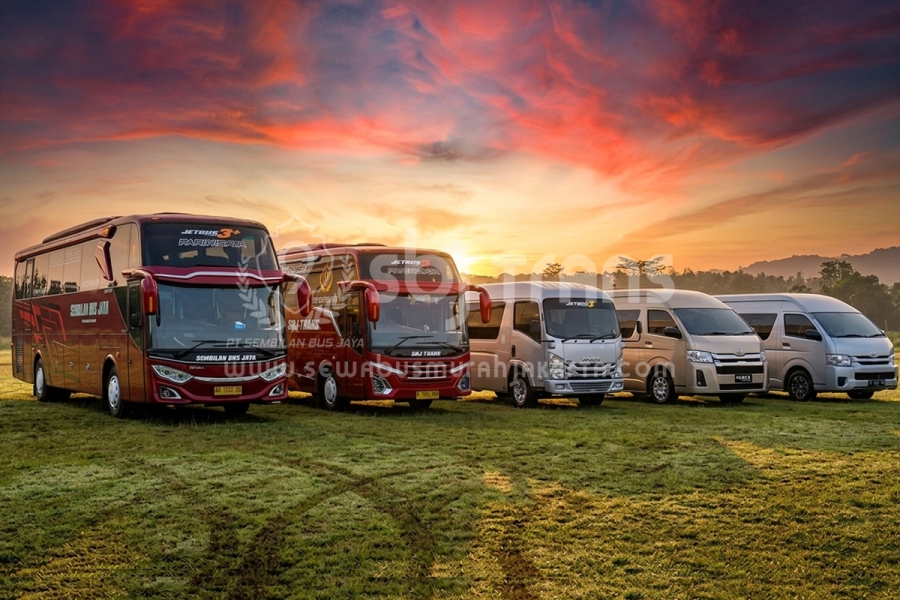 Mengenal Jenis dan Kapasitas Bus Pariwisata untuk Perjalanan Anda